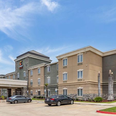 Comfort Suites Near Texas A&M - Corpus Christi Extérieur photo