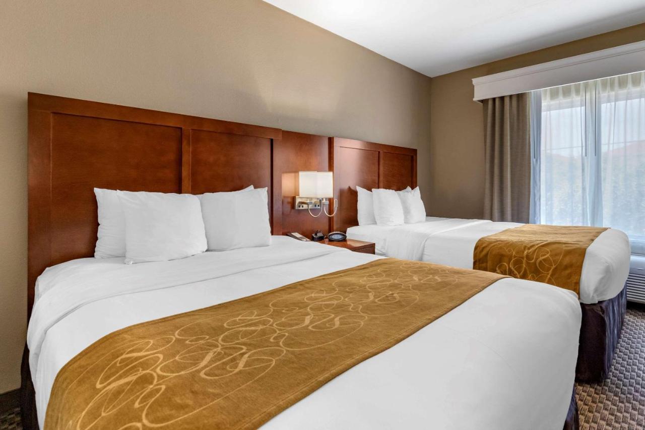 Comfort Suites Near Texas A&M - Corpus Christi Extérieur photo