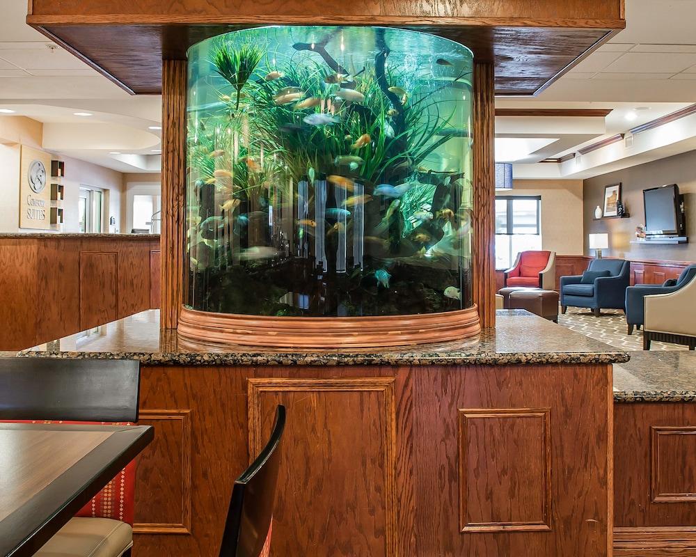 Comfort Suites Near Texas A&M - Corpus Christi Extérieur photo