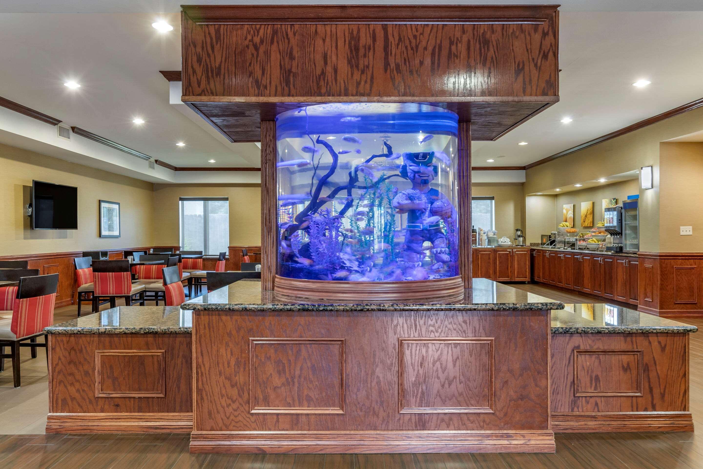 Comfort Suites Near Texas A&M - Corpus Christi Extérieur photo